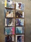 78 Revistas Surfer de California