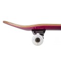 Rocket-Complete-Skateboard-Double-Dipped