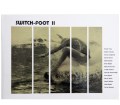 SWITCHFOOT-book