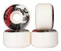 ShinerDistribution/BIR-SKW-0041_1