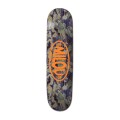 ShinerDistribution/ELM-SKD-0036