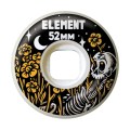 ShinerDistribution/ELM-SKW-0003