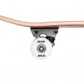 ShinerDistribution/TSS-COM-0624_4