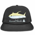 Yin-Fish-Hat-channel-islands
