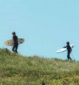 bug-softboard-surfers4