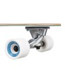 dolphin-surfskate-roxy