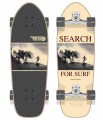 long-island-surfskate-search