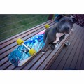 minion-protecting-dolphin-cuiser-surfin-skateboard