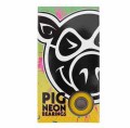 pig-neon-bearings