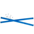 pig-rails-skate-blue