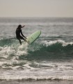 roger-hinds-tamago-surf
