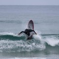 up-surf-hs-gony8