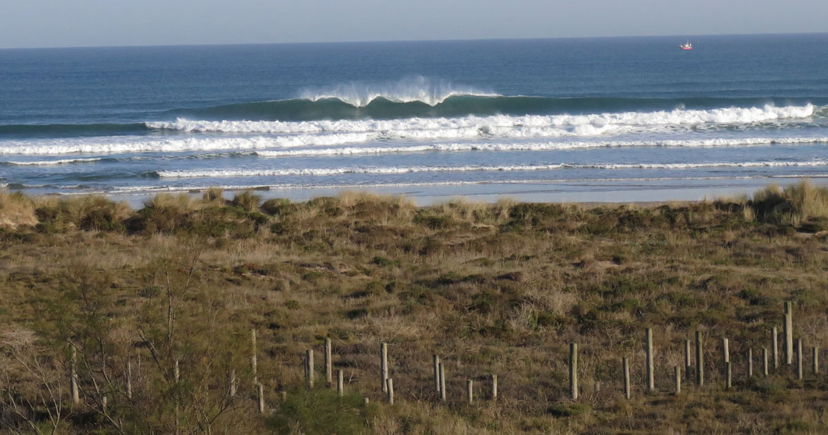 Berria