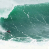 3602.jpg